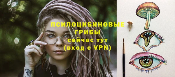 эйфоретик Липки