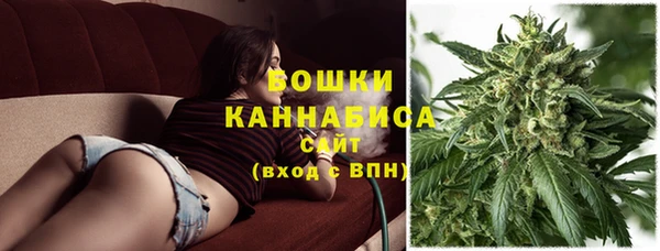 эйфоретик Липки