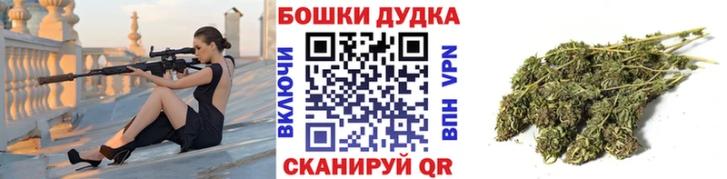 Бошки Шишки ГИДРОПОН  Купить  Харовск 
